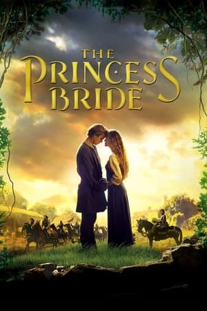 《The Princess Bride》海報