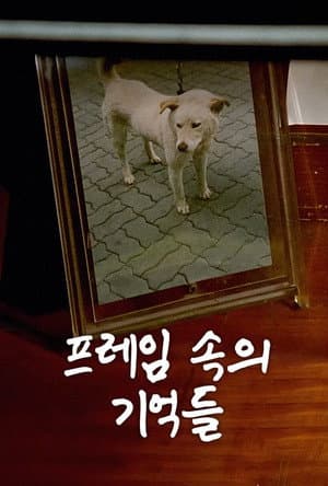 《The Memories in My Frame》海報