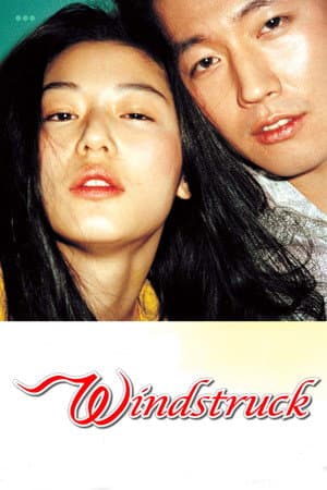《Windstruck》海報