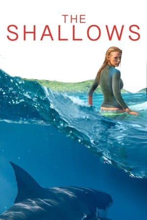 《The Shallows》海報