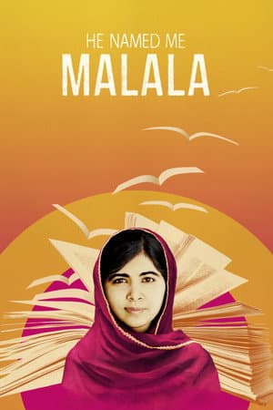 《He Named Me Malala》海報