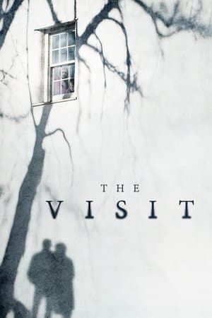 《The Visit》海報